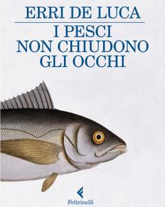 Erri De Luca I PESCI NON CHIUDONO GLI OCCHI